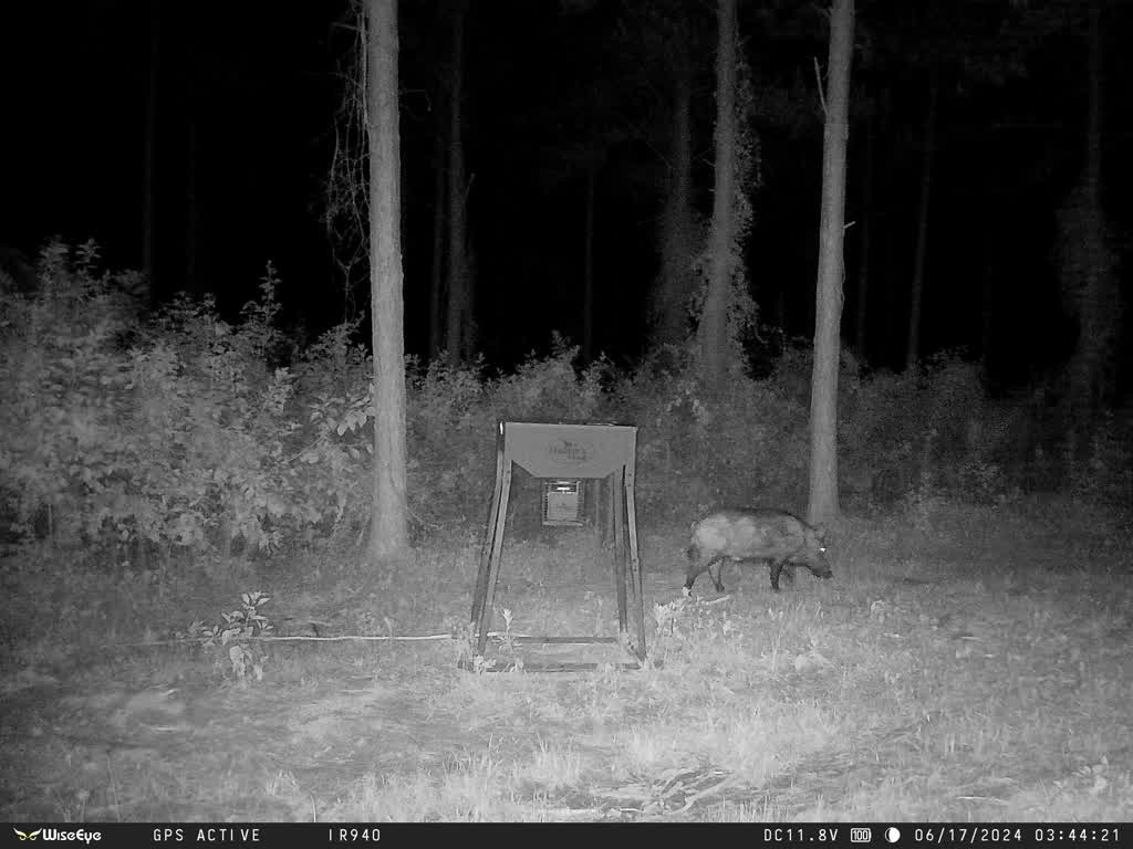 WiseEye DC-2 NO GLOW